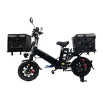 Export 16 double electric double take-out box front and rear oil dish performance version of high-power electric bicycle
